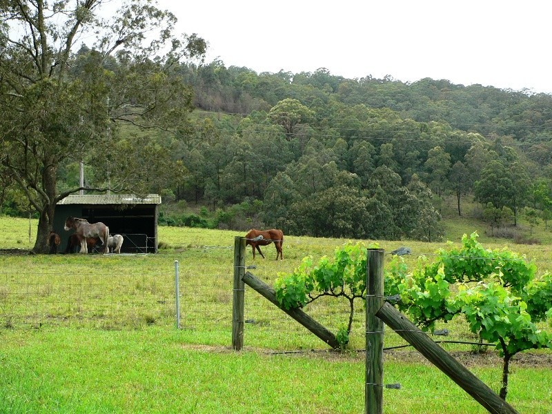 778 Glen Martin Road, Glen Martin NSW 2321