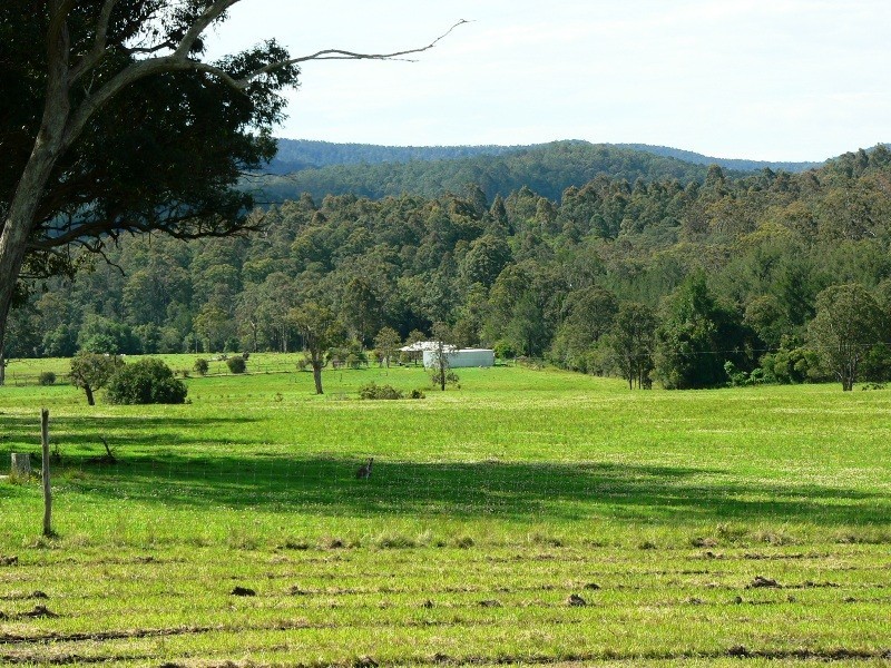 Lot 5, 1062 Upper Monkerai Road, Dungog NSW 2420