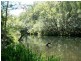 Lot 5, 1062 Upper Monkerai Road, Dungog NSW 2420