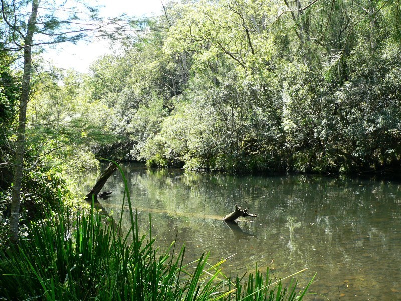 Lot 5, 1062 Upper Monkerai Road, Dungog NSW 2420
