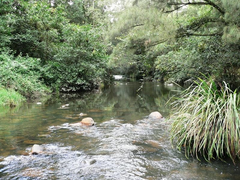 Lot 5, 1062 Upper Monkerai Road, Dungog NSW 2420