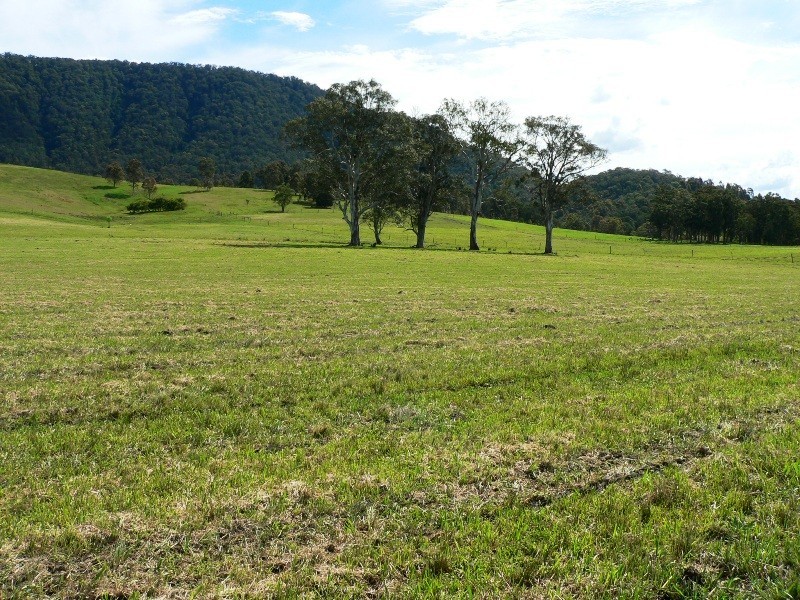 Lot 3, 1062 Moores Road, Stroud NSW 2425