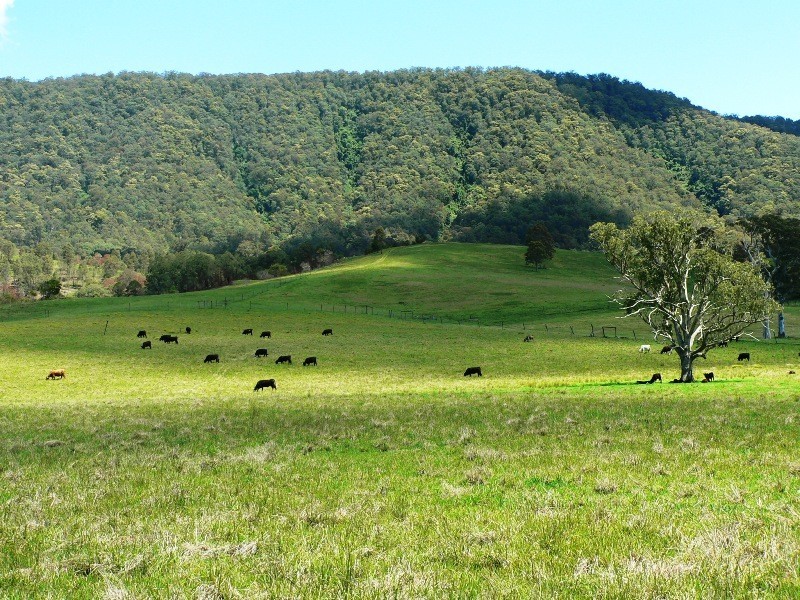 Lot 3, 1062 Moores Road, Stroud NSW 2425