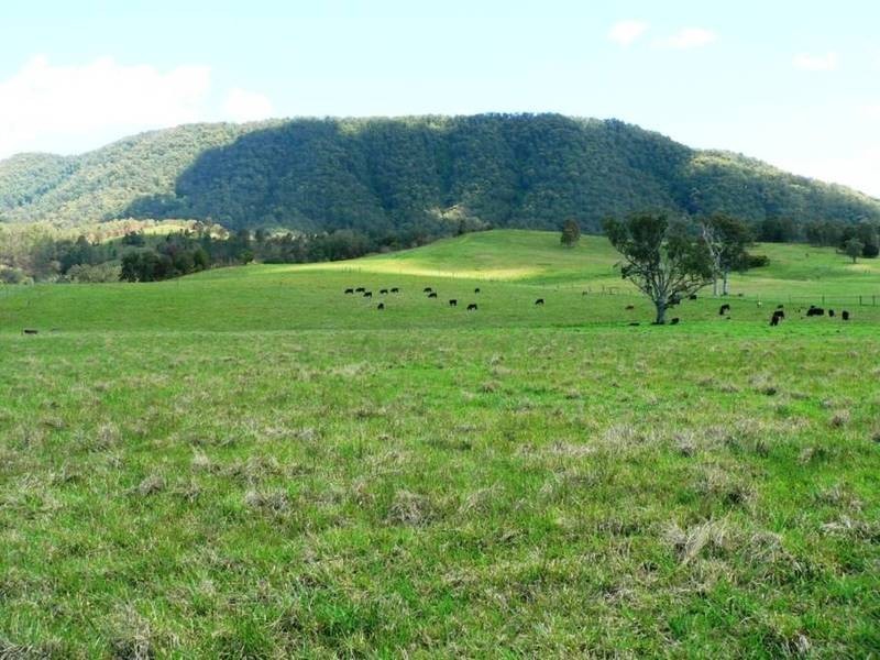 Lot 3, 1062 Moores Road, Stroud NSW 2425