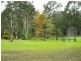 942 Limeburners Creek Road, Clarence Town NSW 2321