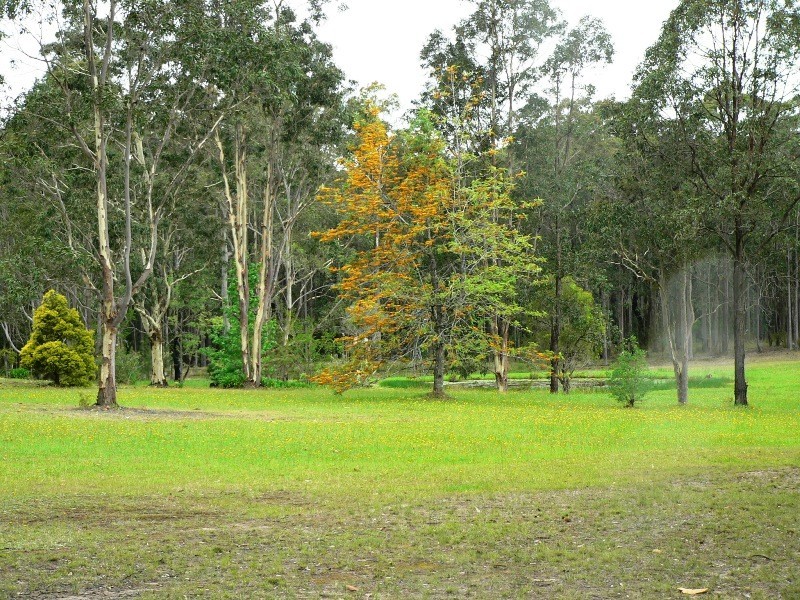 942 Limeburners Creek Road, Clarence Town NSW 2321