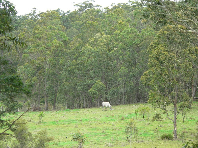 73 Rileys Road, Limeburners Creek NSW 2324