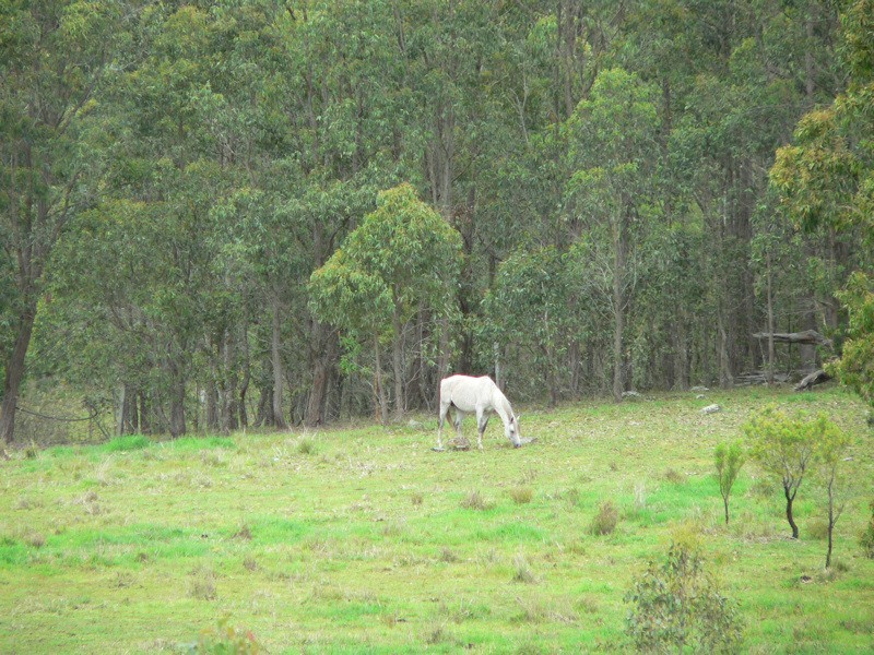 73 Rileys Road, Limeburners Creek NSW 2324