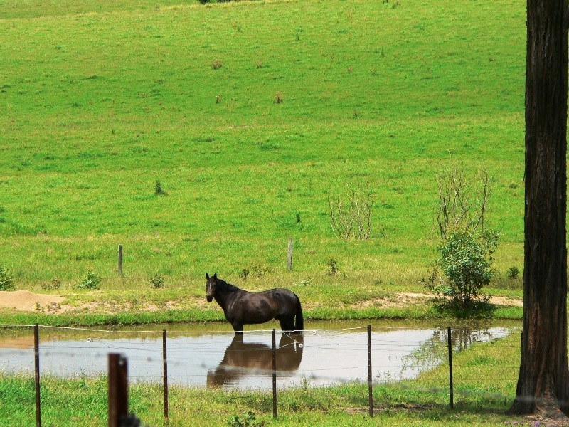 583 Glen William Road, Glen William NSW 2321