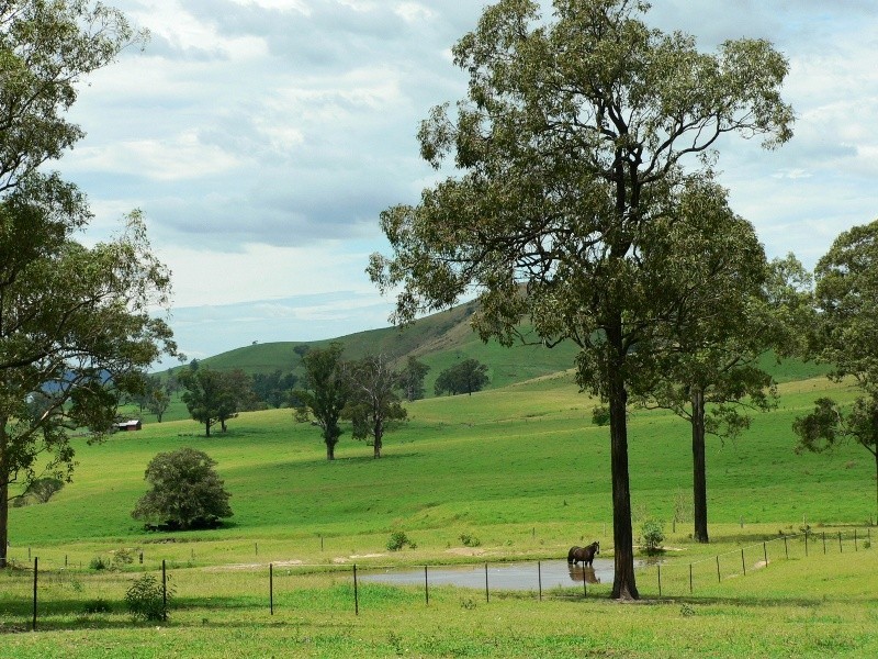 583 Glen William Road, Glen William NSW 2321