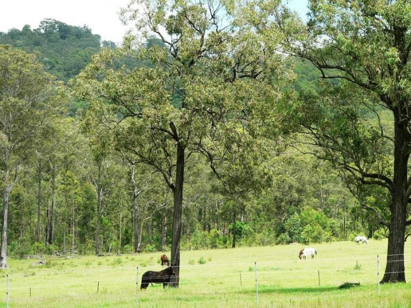 583 Glen William Road, Glen William NSW 2321