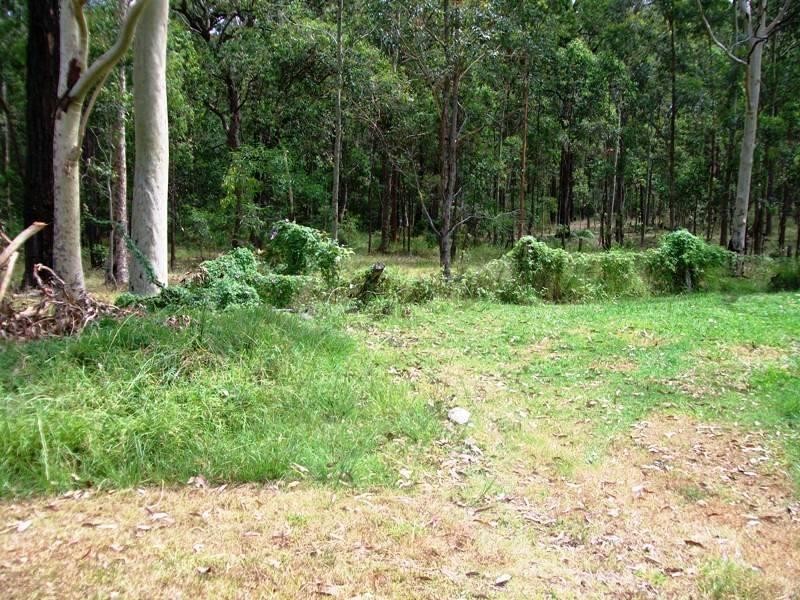 175 WINSTON ROAD, Eagleton NSW 2324