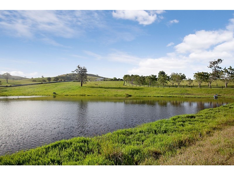 319 Chichester Road, Dungog NSW 2420