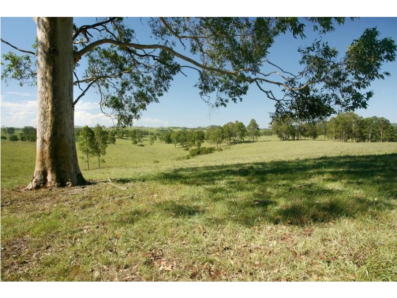 Lot 1490, 97 Woerdens South Road, Clarence Town NSW 2321