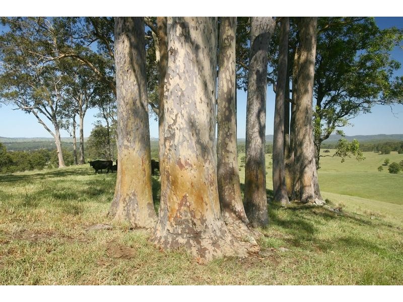 Lot 1492, 97 Woerdens South Road, Clarence Town NSW 2321