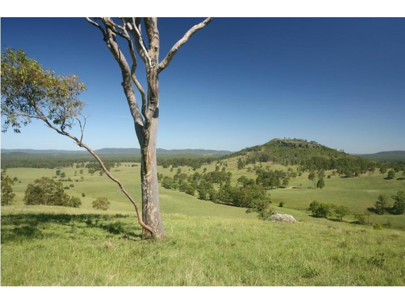Lot 1491, 97 Woerdens South Road, Clarence Town NSW 2321
