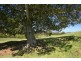 Lot 1491, 97 Woerdens South Road, Clarence Town NSW 2321