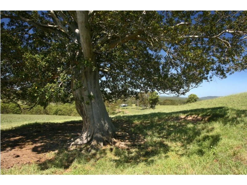 Lot 1491, 97 Woerdens South Road, Clarence Town NSW 2321