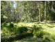 Lot 8,  Bridde Lane, Karuah NSW 2324