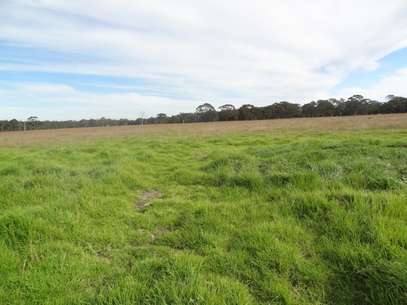 Lot 8,  Bridde Lane, Karuah NSW 2324