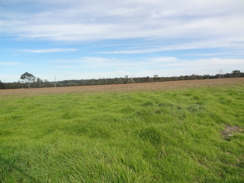Lot 8,  Bridde Lane, Karuah NSW 2324