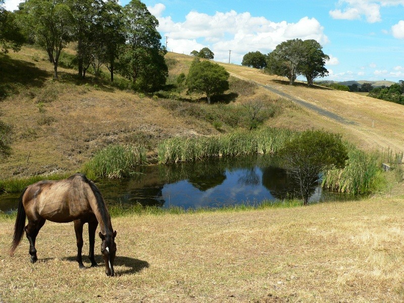 86 Glen William Road, Clarence Town NSW 2321