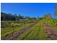 2653 The Bucketts Way, Stroud NSW 2425