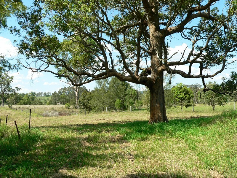 13 Fords Road, Clarence Town NSW 2321