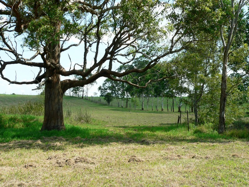 13 Fords Road, Clarence Town NSW 2321