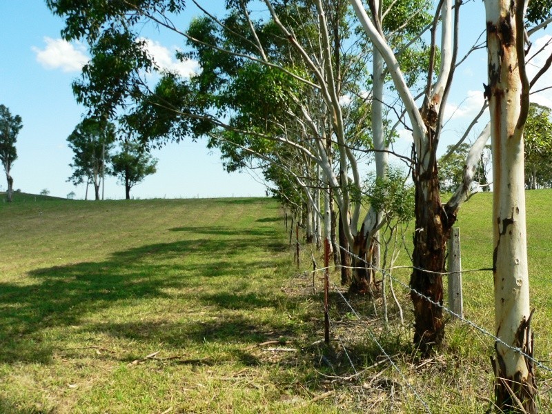 13 Fords Road, Clarence Town NSW 2321