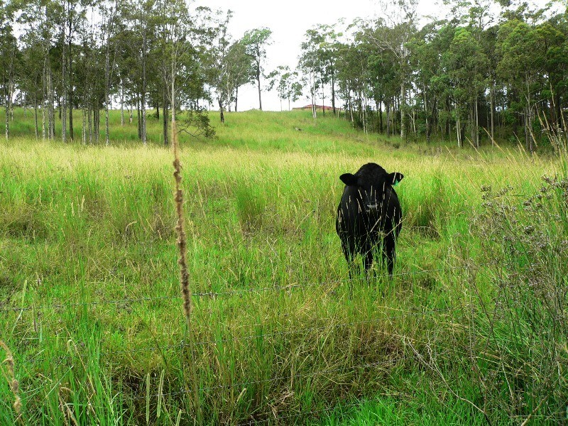 Lot 4,  The Branch Lane, Karuah NSW 2324