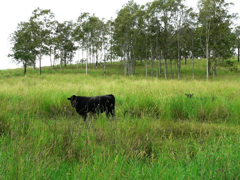 Lot 4,  The Branch Lane, Karuah NSW 2324