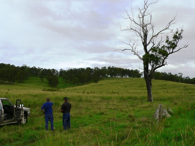 Lot 4,  The Branch Lane, Karuah NSW 2324