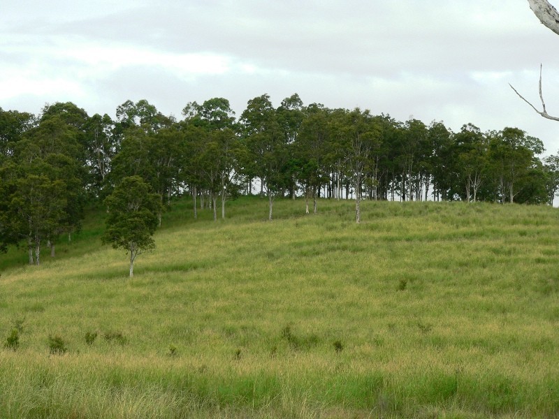 Lot 4,  The Branch Lane, Karuah NSW 2324