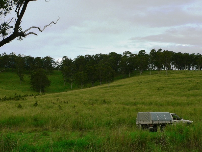 Lot 4,  The Branch Lane, Karuah NSW 2324