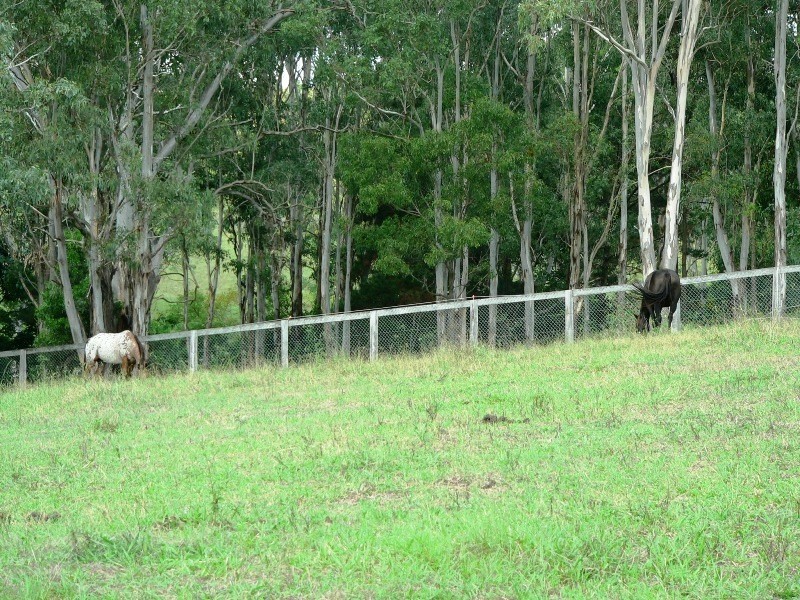 734 Limeburners Creek Road, Clarence Town NSW 2321