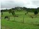 734 Limeburners Creek Road, Clarence Town NSW 2321