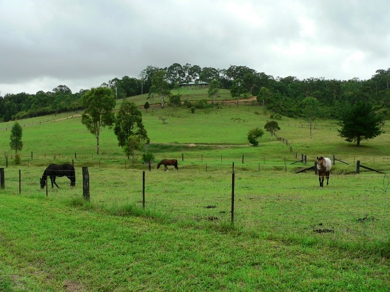 734 Limeburners Creek Road, Clarence Town NSW 2321