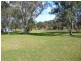 43 Lewis Drive, Medowie NSW 2318