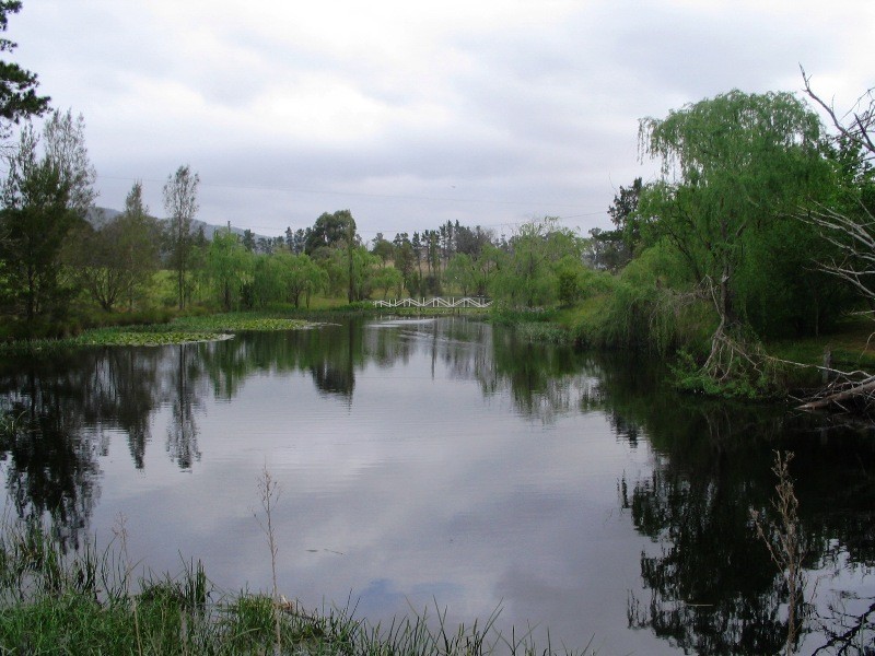 1208 Limeburners Creek Road, Clarence Town NSW 2321