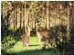 1208 Limeburners Creek Road, Clarence Town NSW 2321