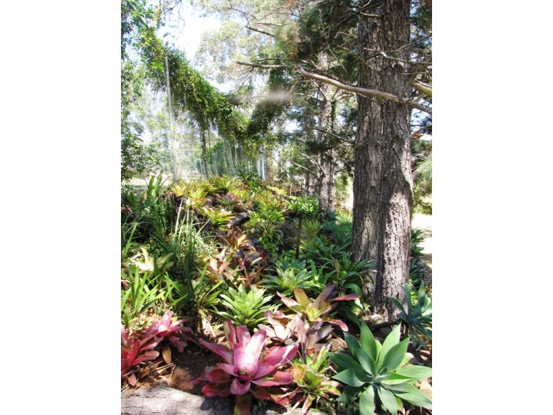 1208 Limeburners Creek Road, Clarence Town NSW 2321