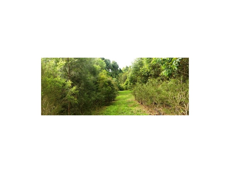 1208 Limeburners Creek Road, Clarence Town NSW 2321