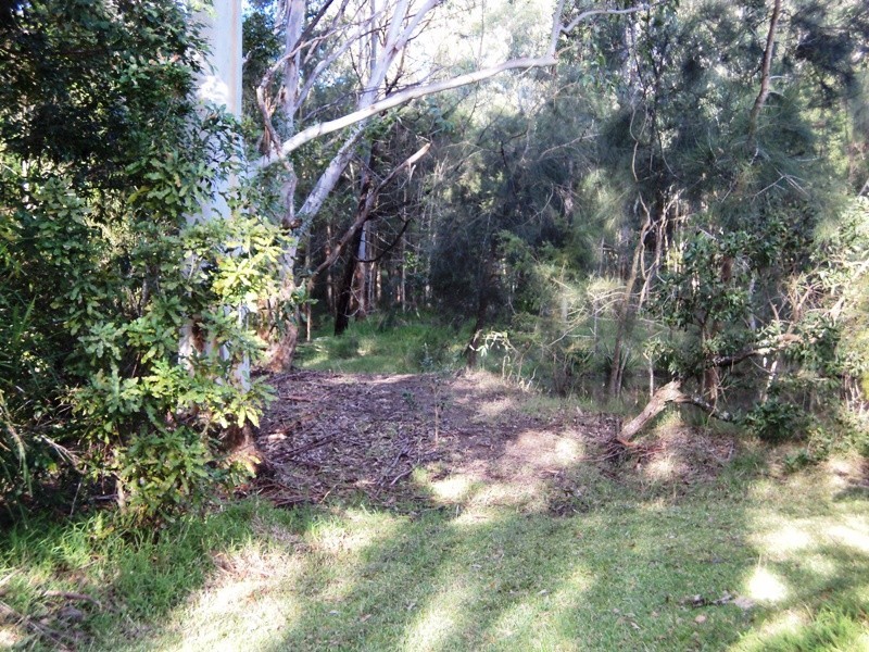 62 Brandy Hill Drive, Brandy Hill NSW 2324