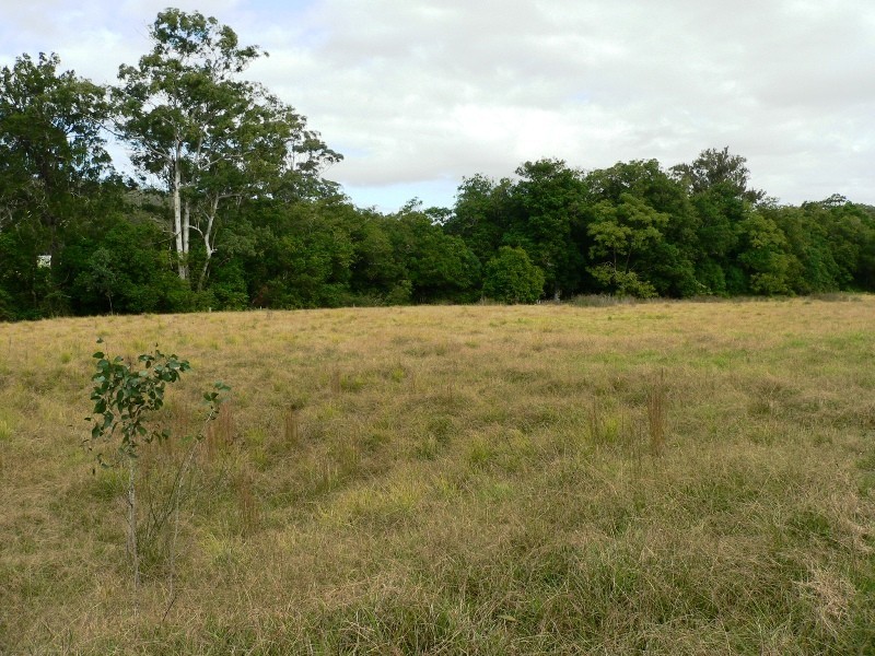 585 Monkerai Road, Dungog NSW 2420