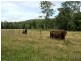 585 Monkerai Road, Dungog NSW 2420