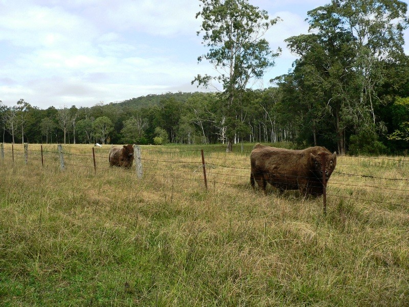 585 Monkerai Road, Dungog NSW 2420
