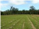 585 Monkerai Road, Dungog NSW 2420