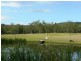 585 Monkerai Road, Dungog NSW 2420