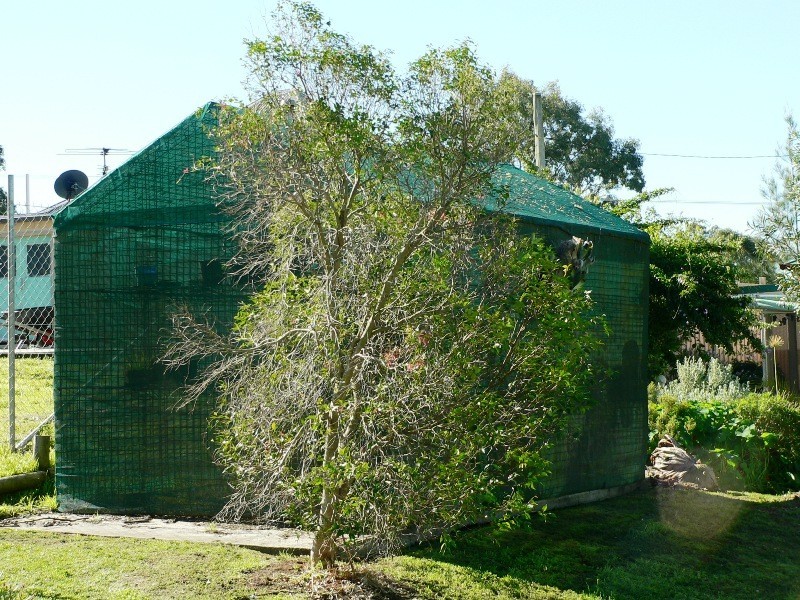 39 Lowe Street, Clarence Town NSW 2321